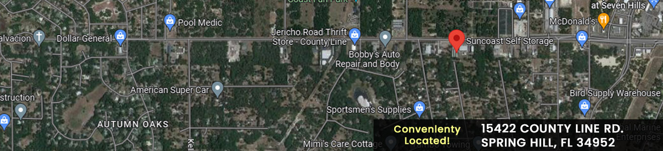 Location satellite view